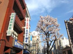 (株)高砂不動産 (株)高砂不動産の写真