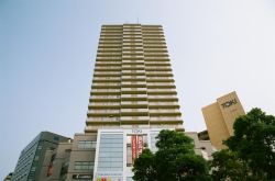 陽光産業株式会社 陽光産業株式会社の写真