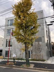 株式会社ホシノイエの写真