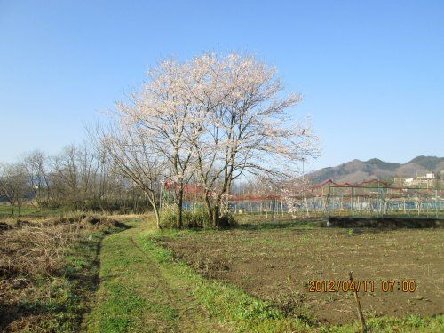 みなの不動産 みなの不動産の写真
