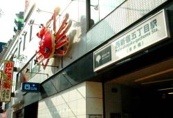 アートインデックス 【artindex】 アートインデックス 【artindex】の写真