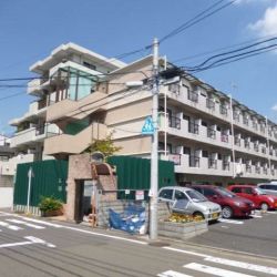 アクシス不動産 ㈱アクシス アクシス不動産 ㈱アクシスの写真