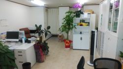 (株)ノア不動産 (株)ノア不動産の写真