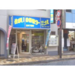 (有)島村不動産 (有)島村不動産の写真
