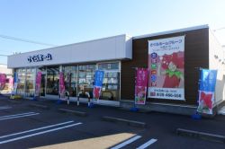 LIXIL不動産ショップ さくらホーム 小松支店 LIXIL不動産ショップ さくらホーム 小松支店の写真