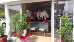 (株)Pine home (株)Pine homeの写真