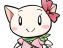せっちゃん
