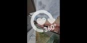 展望