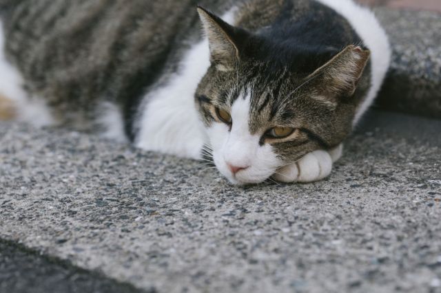 沖縄の迷信あれこれ！根拠はないけど面白い言い伝え8選！｜不動産 