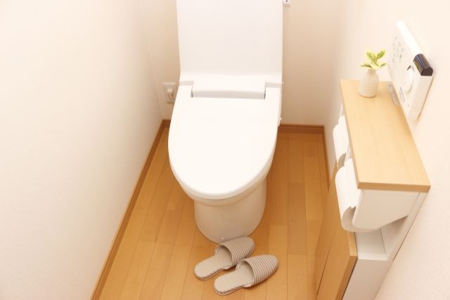 どうしてますか 賃貸物件に住んだときのトイレの防音対策 不動産コラムサイト いえらぶコラム