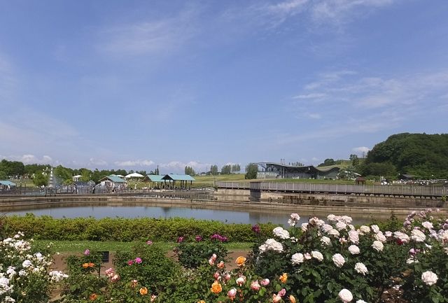 歴史ある新潟県長岡市 住みやすさや街の魅力をご紹介 不動産コラムサイト いえらぶコラム