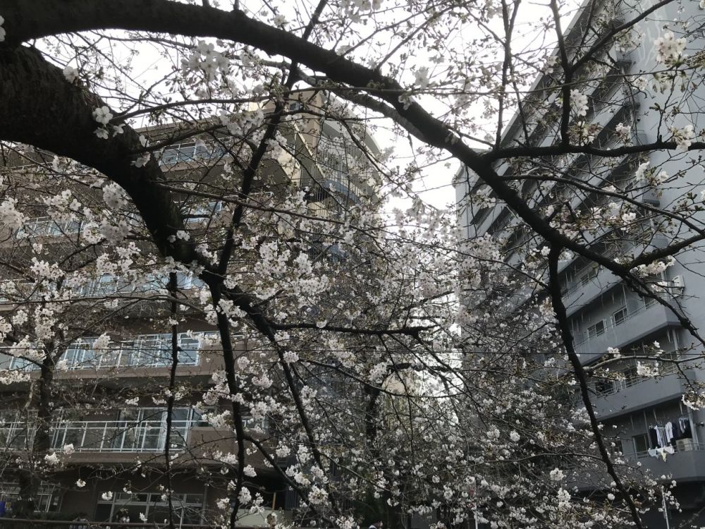 年版 不動産会社も知っておくべきオシャレ不動産サイト4つ 不動産会社向けお役立ちブログ いえらぶcloud